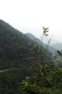 范文芳挺孕肚颁奖 吴尊求当郑惠玉亲家