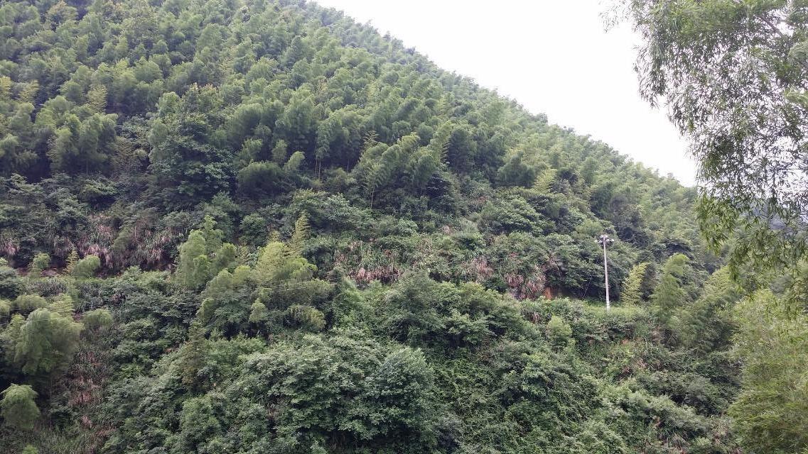 范文芳挺孕肚颁奖 吴尊求当郑惠玉亲家