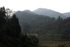 范文芳挺孕肚颁奖 吴尊求当郑惠玉亲家