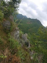 范文芳挺孕肚颁奖 吴尊求当郑惠玉亲家